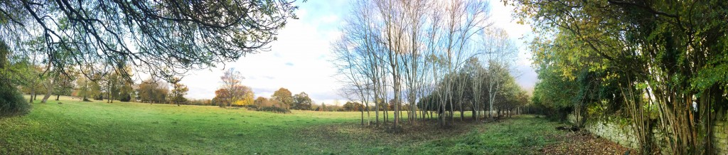 Bushey Norwood landscape