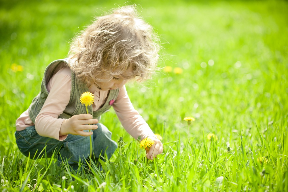 The Healing Power of Nature